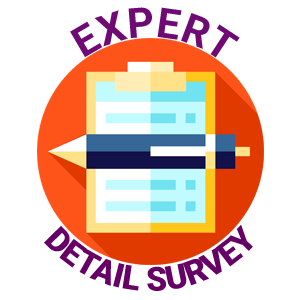 Detail Survey Bot
